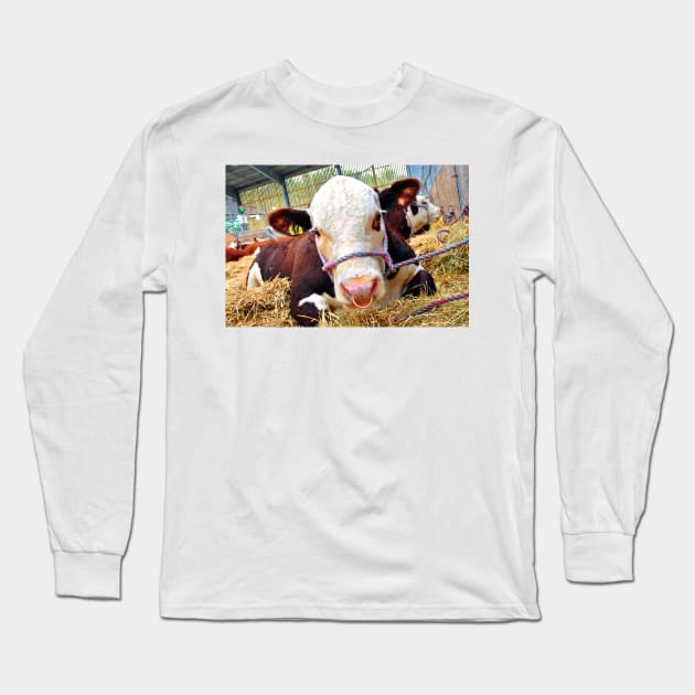 Pedigree Hereford Cow Cattle Long Sleeve T-Shirt by Andy Evans Photos